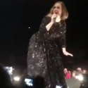 Here’s Adele Twerking! [VIDEO]