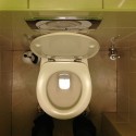 Man Bitten By Rat Living In His Toilet!