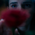 Live-Action Beauty And The Beast Teaser Trailer [VIDEO]