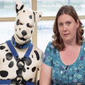 Man Turns Himself Into “Human Puppy” to Escape Reality